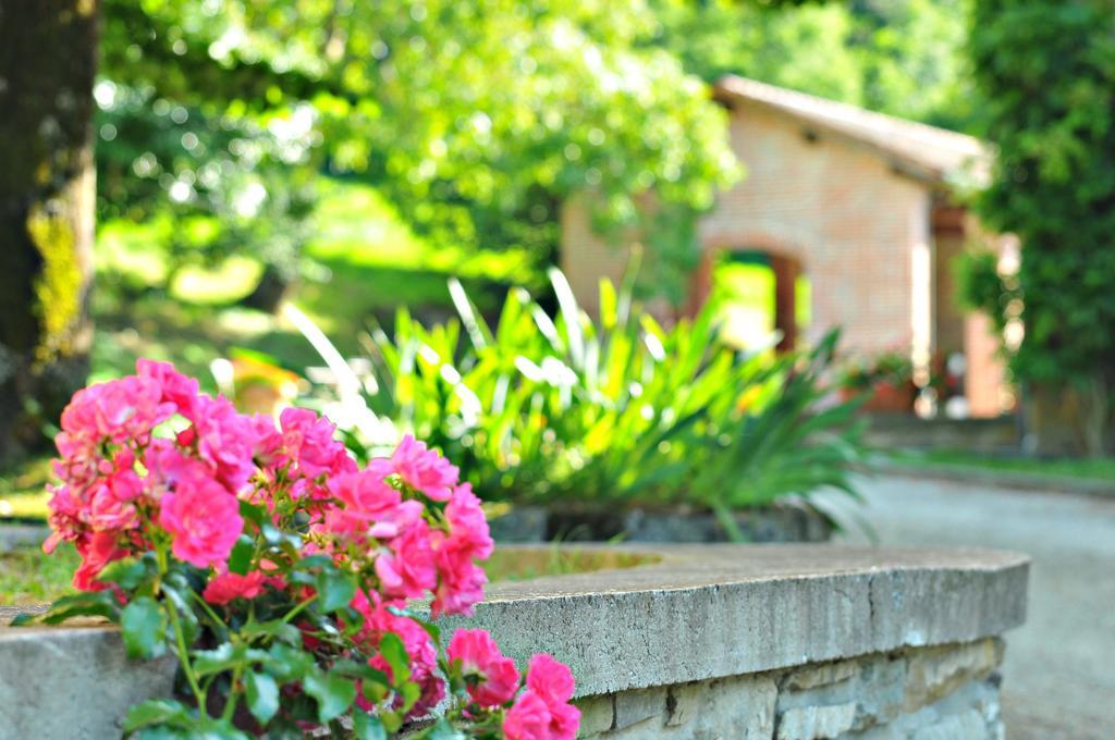 Agriturismo Popolano Di Sotto Marradi Exteriér fotografie