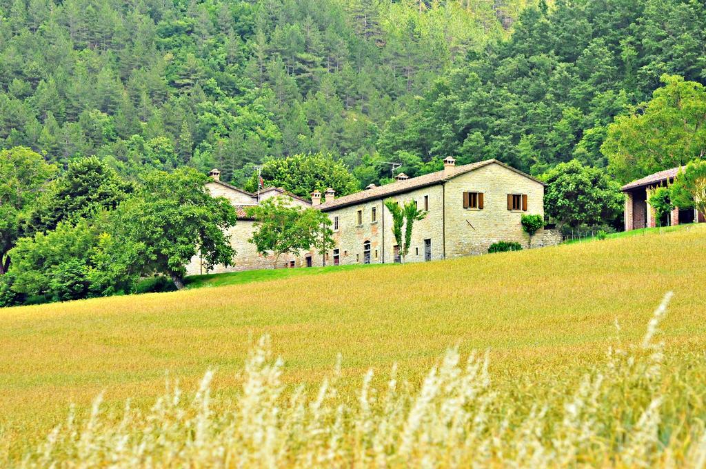 Agriturismo Popolano Di Sotto Marradi Exteriér fotografie