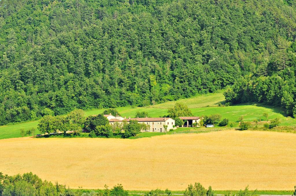 Agriturismo Popolano Di Sotto Marradi Exteriér fotografie