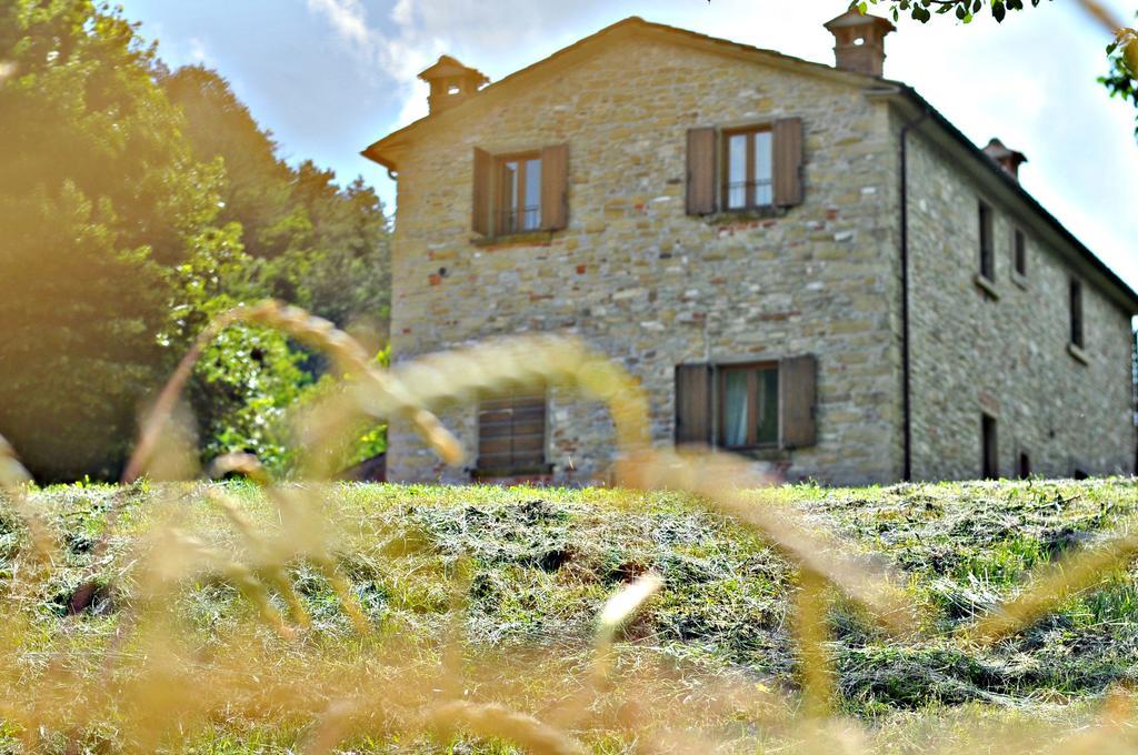Agriturismo Popolano Di Sotto Marradi Exteriér fotografie