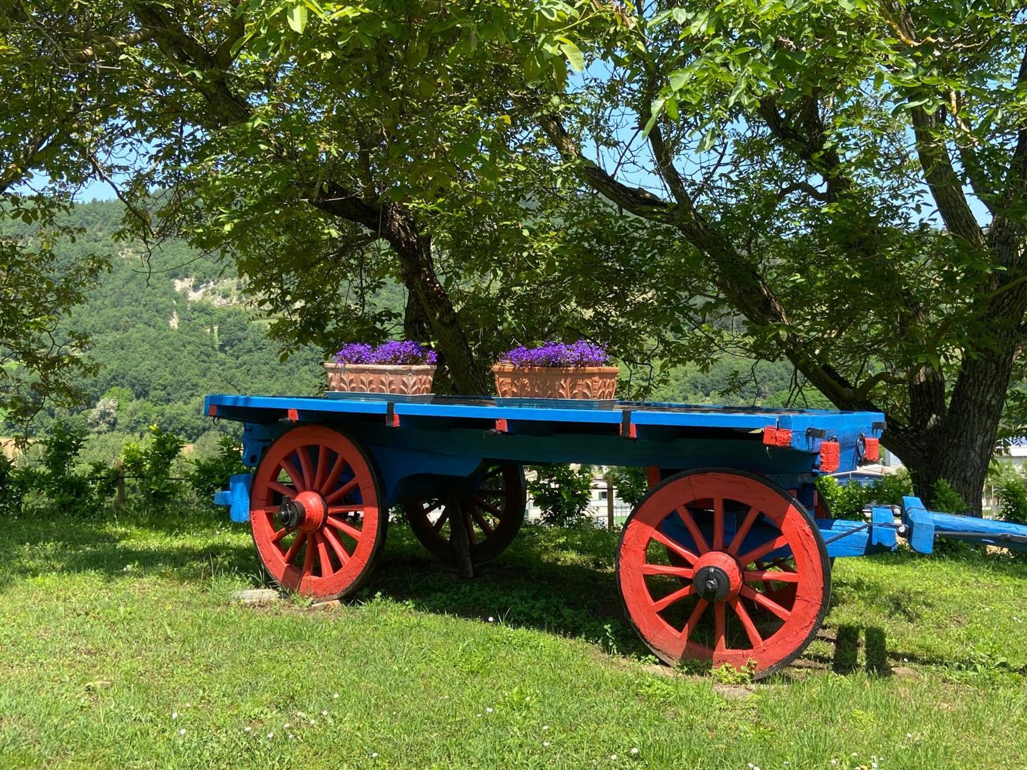 Agriturismo Popolano Di Sotto Marradi Exteriér fotografie
