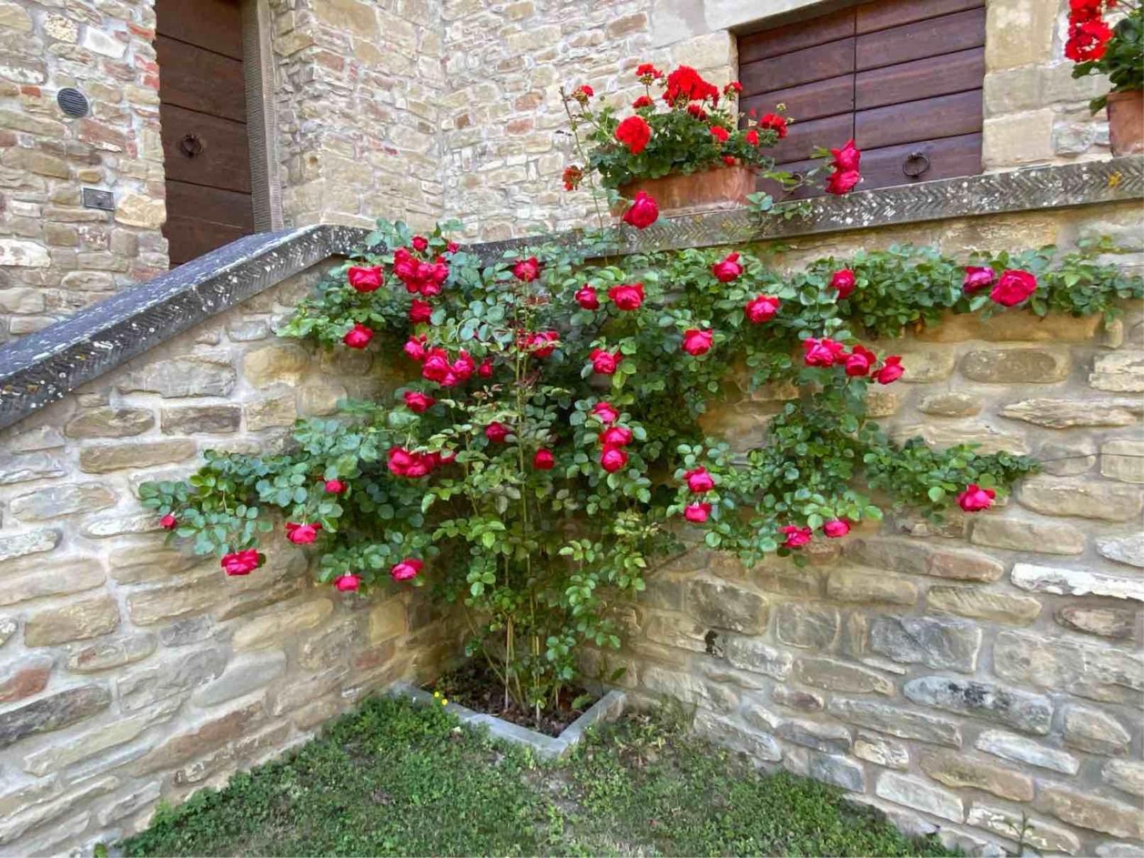 Agriturismo Popolano Di Sotto Marradi Exteriér fotografie