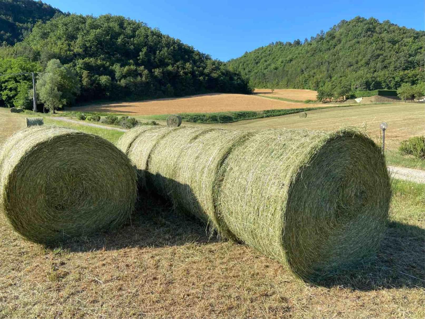 Agriturismo Popolano Di Sotto Marradi Exteriér fotografie